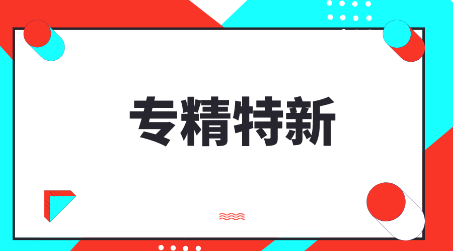 專精特新，專精特新小巨人