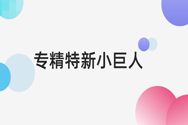 專精特新小巨人認定標準是什么，專精特新小巨人申報條件