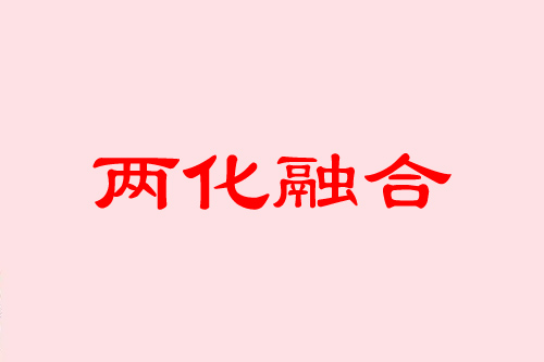 兩化融合是什么意思？可以從四個方面理解“融合”