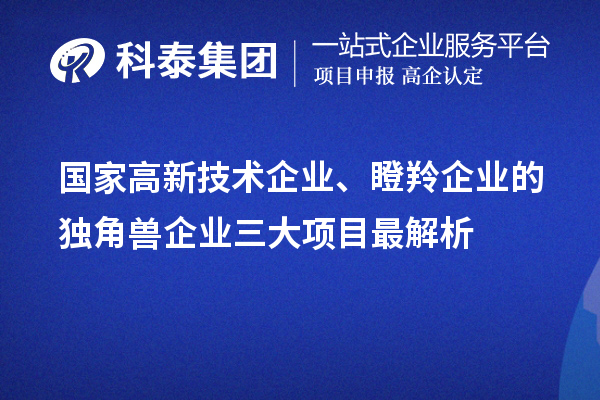 國家高新技術(shù)企業(yè)、瞪羚企業(yè)的獨(dú)角獸企業(yè)三大項(xiàng)目最解析