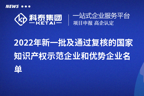 2022年新一批及通過復核的國家知識產(chǎn)權(quán)示范企業(yè)和優(yōu)勢企業(yè)名單