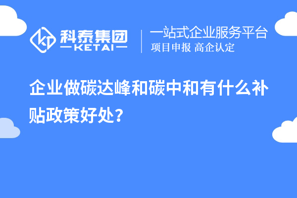 企業(yè)做碳達(dá)峰和碳中和有什么補(bǔ)貼政策好處？