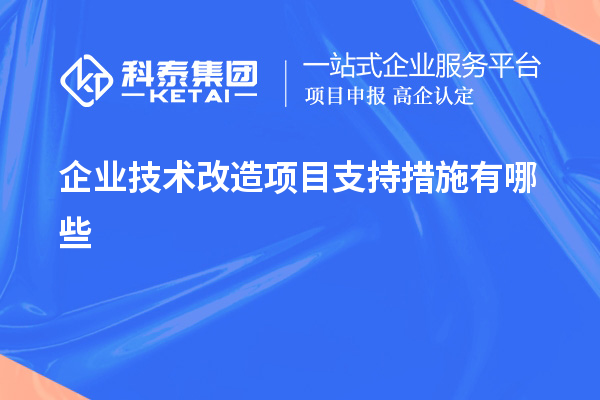企業(yè)技術(shù)改造項(xiàng)目支持措施有哪些