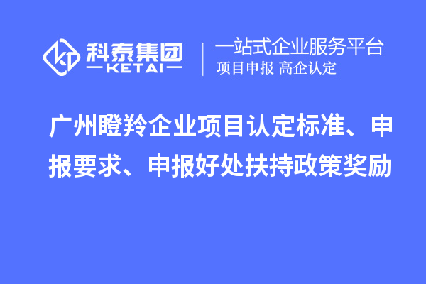 廣州瞪羚企業(yè)項目認定標準、申報要求、申報好處扶持政策獎勵