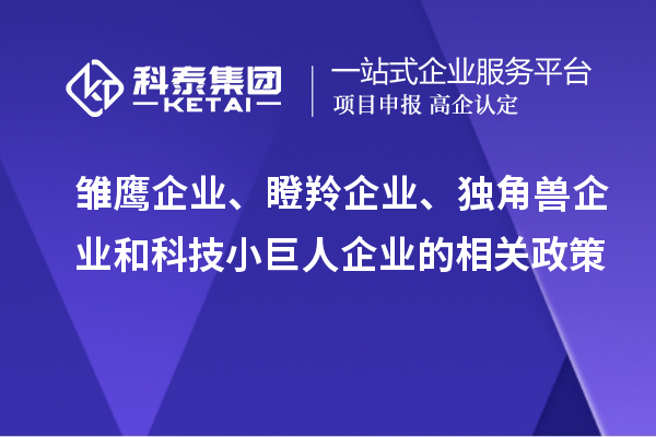 雛鷹企業(yè)、瞪羚企業(yè)、獨(dú)角獸企業(yè)和科技小巨人企業(yè)的相關(guān)政策