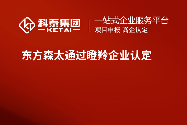 東方森太通過(guò)<a href=http://www.xinshancheng.cn/fuwu/dengling.html target=_blank class=infotextkey>瞪羚企業(yè)認(rèn)定</a>