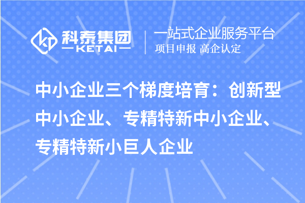 中小企業(yè)三個(gè)梯度培育：創(chuàng)新型中小企業(yè)、專(zhuān)精特新中小企業(yè)、專(zhuān)精特新小巨人企業(yè)