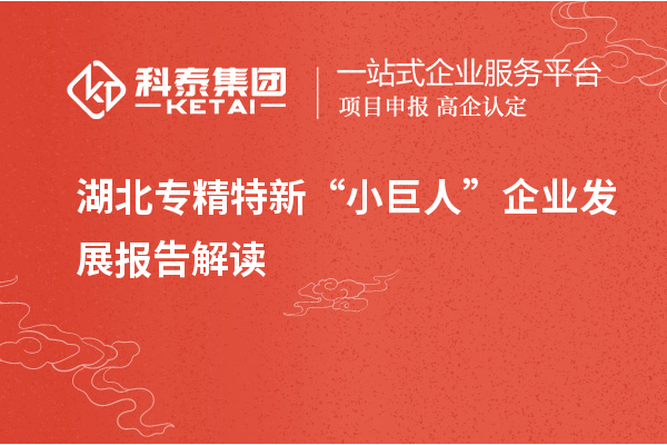 湖北專精特新“小巨人”企業(yè)發(fā)展報(bào)告解讀