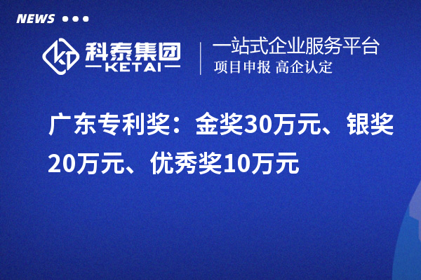 廣東專利獎(jiǎng)：金獎(jiǎng)30萬元、銀獎(jiǎng)20萬元、優(yōu)秀獎(jiǎng)10萬元（省級(jí)）