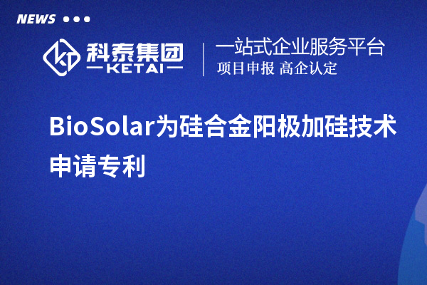 BioSolar為硅合金陽(yáng)極加硅技術(shù)申請(qǐng)專利