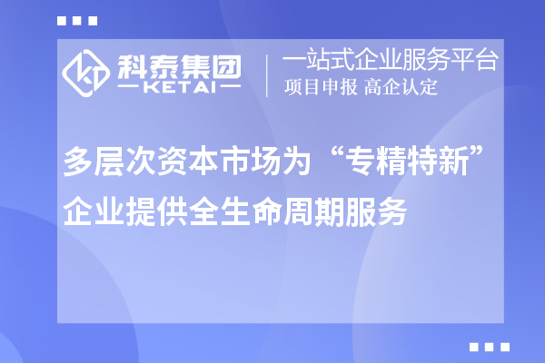 多層次資本市場(chǎng)為“專精特新”企業(yè)提供全生命周期服務(wù)