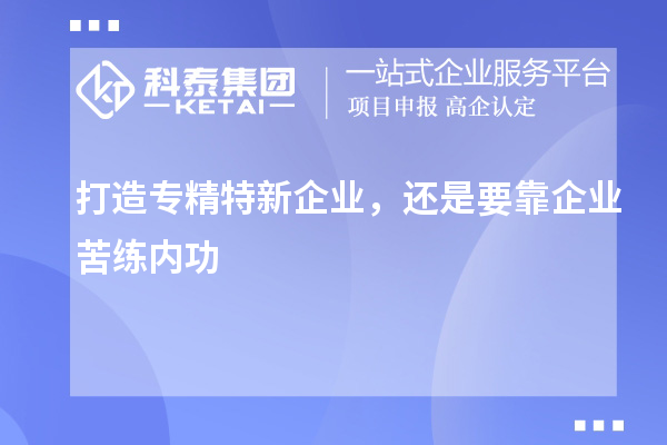 打造專精特新企業(yè)，還是要靠企業(yè)苦練內(nèi)功