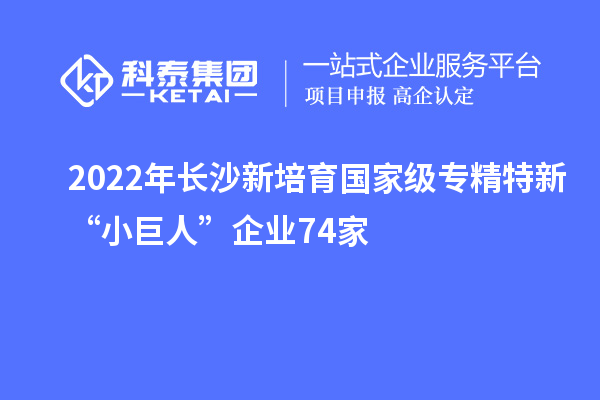 2022年長(zhǎng)沙新培育國(guó)家級(jí)專精特新“小巨人”企業(yè)74家