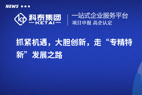 抓緊機遇，大膽創(chuàng)新，走“專精特新”發(fā)展之路