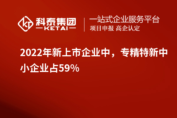 2022年新上市企業(yè)中，<a href=http://www.xinshancheng.cn/fuwu/zhuanjingtexin.html target=_blank class=infotextkey>專精特新中小企業(yè)</a>占59%