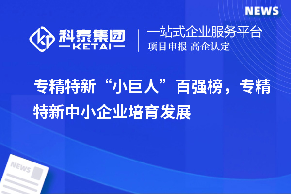 專精特新“小巨人”百強(qiáng)榜，<a href=http://www.xinshancheng.cn/fuwu/zhuanjingtexin.html target=_blank class=infotextkey>專精特新中小企業(yè)</a>培育發(fā)展