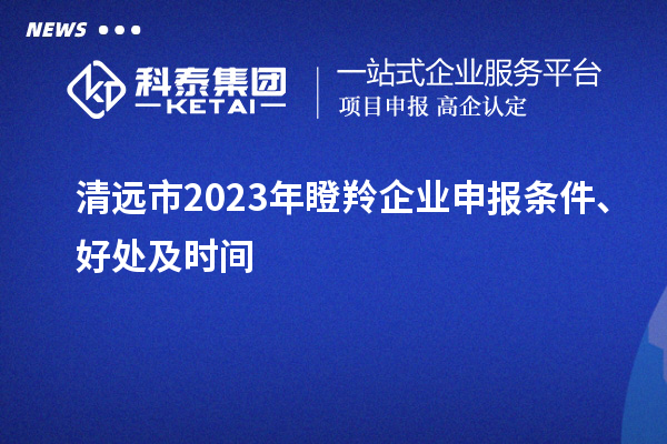 清遠(yuǎn)市2023年瞪羚企業(yè)申報條件、好處及時間
