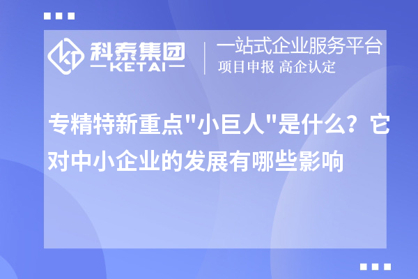 專精特新重點(diǎn)小巨人是什么？它對中小企業(yè)的發(fā)展有哪些影響