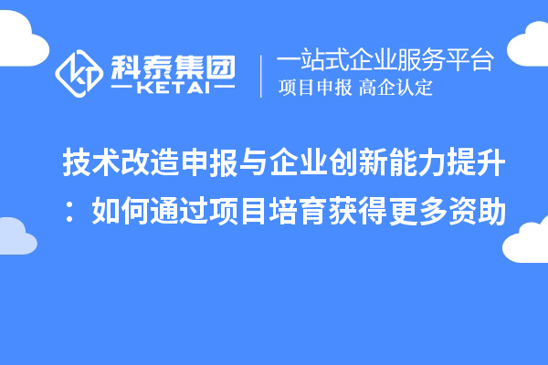 技術(shù)改造申報與企業(yè)創(chuàng)新能力提升：如何通過項(xiàng)目培育獲得更多資助