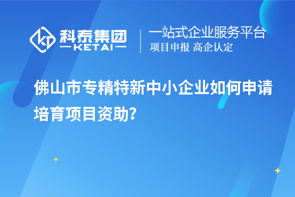 佛山市<a href=http://www.xinshancheng.cn/fuwu/zhuanjingtexin.html target=_blank class=infotextkey>專精特新中小企業(yè)</a>如何申請培育項(xiàng)目資助？