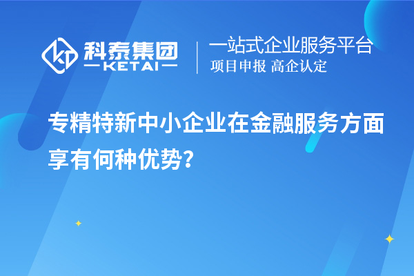 專精特新中小企業(yè)在金融服務(wù)方面享有何種優(yōu)勢(shì)？