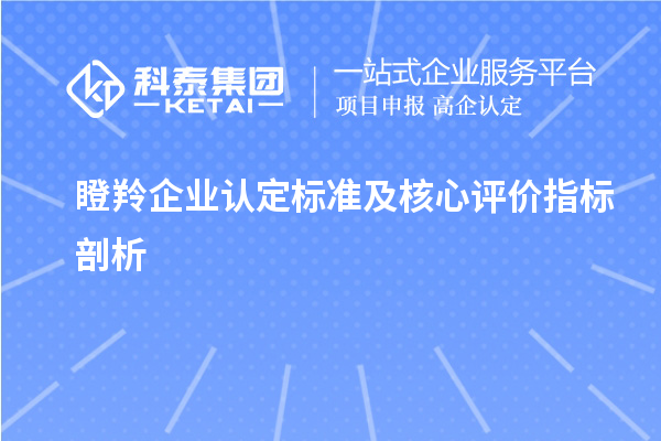 <a href=http://www.xinshancheng.cn/fuwu/dengling.html target=_blank class=infotextkey>瞪羚企業(yè)認(rèn)定</a>標(biāo)準(zhǔn)及核心評價指標(biāo)剖析		 		