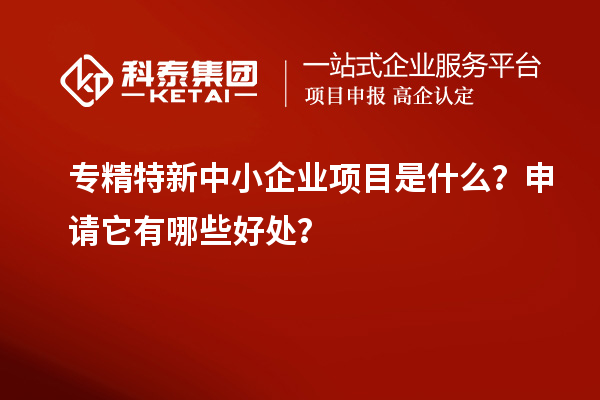 專精特新中小企業(yè)項(xiàng)目是什么？申請(qǐng)它有哪些好處？