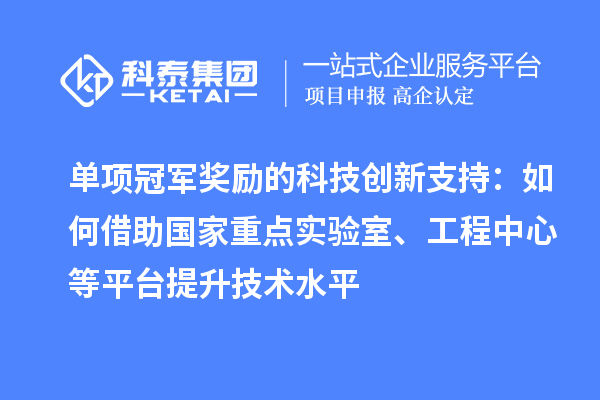 單項冠軍獎勵的科技創(chuàng)新支持：如何借助國家重點實驗室、工程中心等平臺提升技術(shù)水平