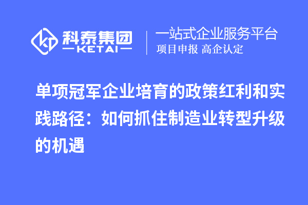 單項(xiàng)冠軍企業(yè)培育的政策紅利和實(shí)踐路徑：如何抓住制造業(yè)轉(zhuǎn)型升級的機(jī)遇