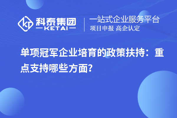 單項冠軍企業(yè)培育的政策扶持：重點支持哪些方面？