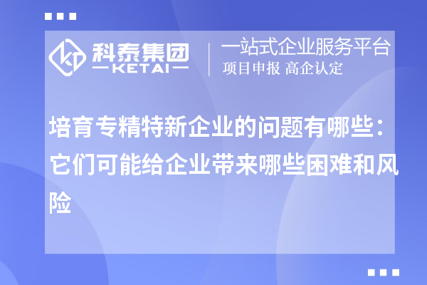 培育專精特新企業(yè)的問題有哪些：它們可能給企業(yè)帶來哪些困難和風(fēng)險