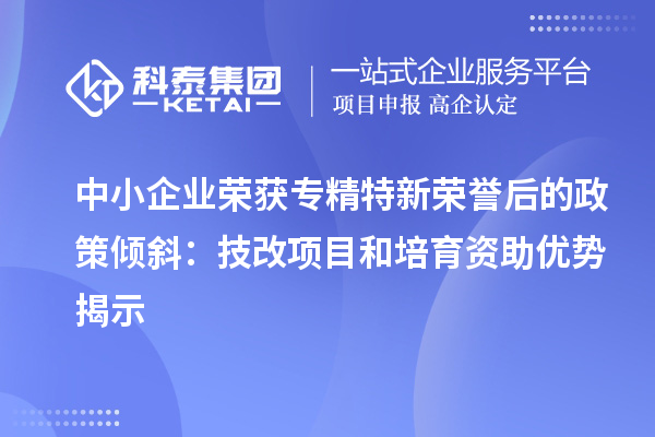 中小企業(yè)榮獲專精特新榮譽(yù)后的政策傾斜：<a href=http://www.xinshancheng.cn/fuwu/jishugaizao.html target=_blank class=infotextkey>技改</a>項(xiàng)目和培育資助優(yōu)勢(shì)揭示