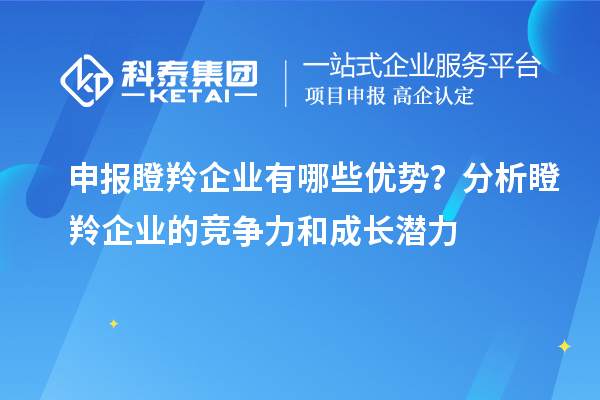 申報瞪羚企業(yè)有哪些優(yōu)勢？分析瞪羚企業(yè)的競爭力和成長潛力