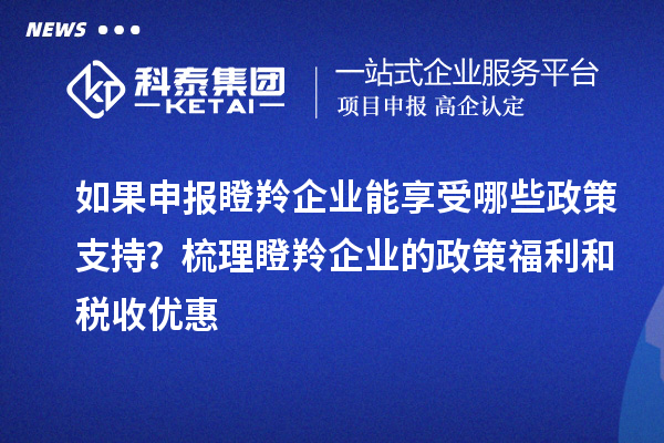 如果申報瞪羚企業(yè)能享受哪些政策支持？梳理瞪羚企業(yè)的政策福利和稅收優(yōu)惠