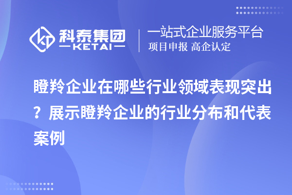 瞪羚企業(yè)在哪些行業(yè)領域表現突出？展示瞪羚企業(yè)的行業(yè)分布和代表案例