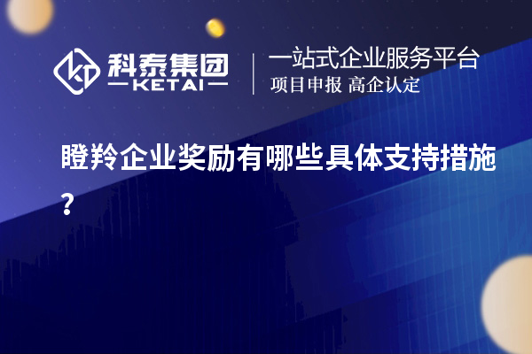 瞪羚企業(yè)獎勵有哪些具體支持措施？
