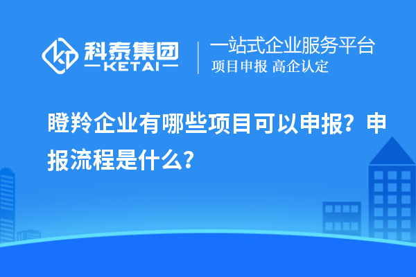 瞪羚企業(yè)有哪些項目可以申報？申報流程是什么？