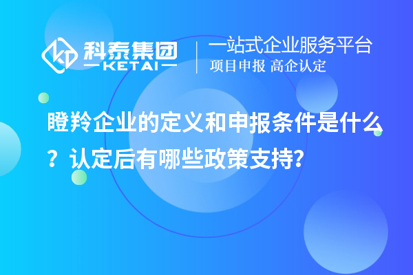 瞪羚企業(yè)的定義和申報(bào)條件是什么？認(rèn)定后有哪些政策支持？