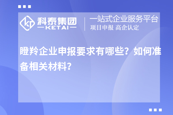 瞪羚企業(yè)申報(bào)要求有哪些？如何準(zhǔn)備相關(guān)材料？