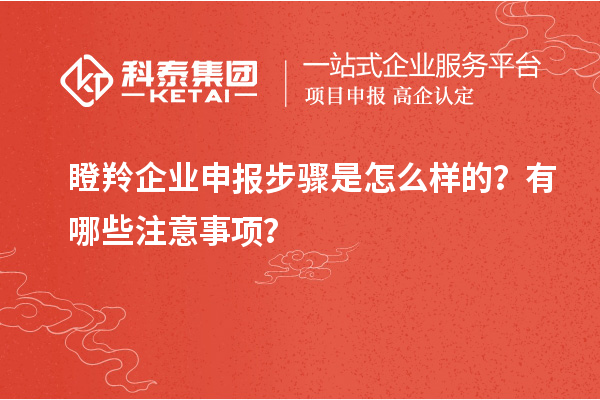 瞪羚企業(yè)申報(bào)步驟是怎么樣的？有哪些注意事項(xiàng)？