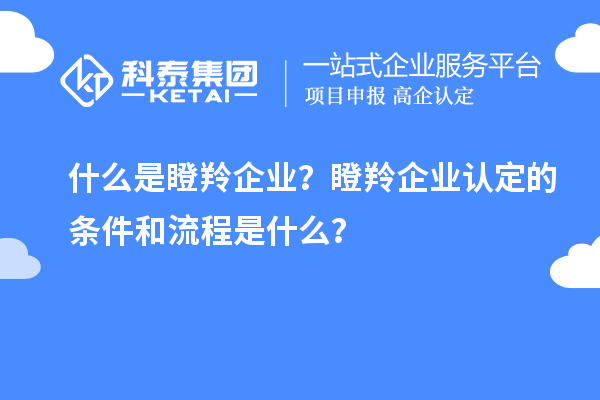 什么是瞪羚企業(yè)？<a href=http://www.xinshancheng.cn/fuwu/dengling.html target=_blank class=infotextkey>瞪羚企業(yè)認定</a>的條件和流程是什么？