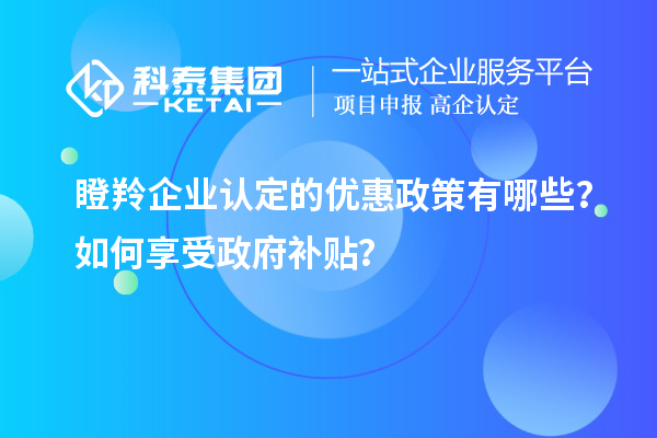 <a href=http://www.xinshancheng.cn/fuwu/dengling.html target=_blank class=infotextkey>瞪羚企業(yè)認(rèn)定</a>的優(yōu)惠政策有哪些？如何享受政府補貼？