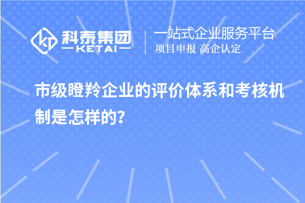 市級瞪羚企業(yè)的評價體系和考核機(jī)制是怎樣的？