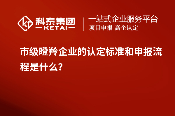 市級瞪羚企業(yè)的認(rèn)定標(biāo)準(zhǔn)和申報流程是什么？