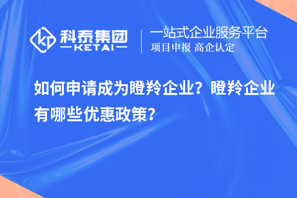 如何申請成為瞪羚企業(yè)？瞪羚企業(yè)有哪些優(yōu)惠政策？