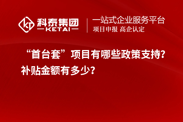 “<a href=http://www.xinshancheng.cn/stt/ target=_blank class=infotextkey>首臺(tái)套</a>”項(xiàng)目有哪些政策支持？補(bǔ)貼金額有多少？