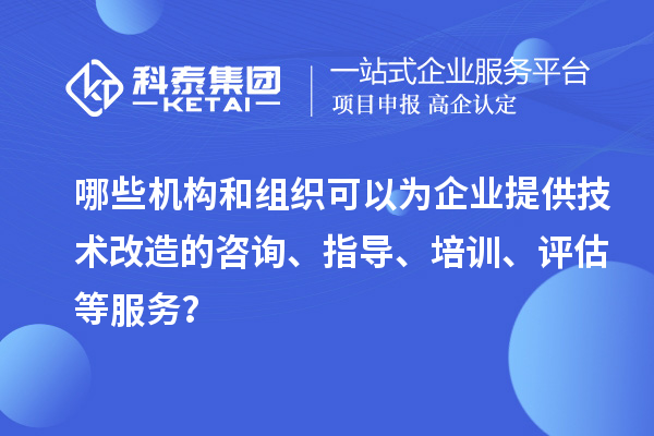 哪些機(jī)構(gòu)和組織可以為企業(yè)提供技術(shù)改造的咨詢、指導(dǎo)、培訓(xùn)、評估等服務(wù)？