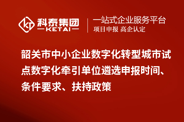 韶關(guān)市中小企業(yè)數(shù)字化轉(zhuǎn)型城市試點(diǎn)數(shù)字化牽引單位遴選申報(bào)時(shí)間、條件要求、扶持政策
