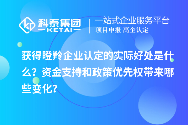 獲得瞪羚企業(yè)認(rèn)定的實(shí)際好處是什么？資金支持和政策優(yōu)先權(quán)帶來哪些變化？