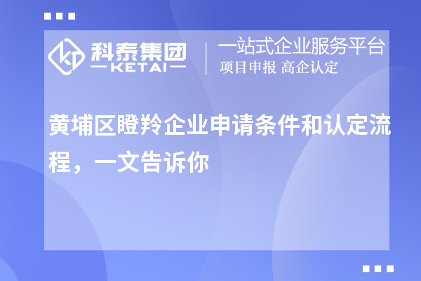 黃埔區(qū)瞪羚企業(yè)申請(qǐng)條件和認(rèn)定流程，一文告訴你